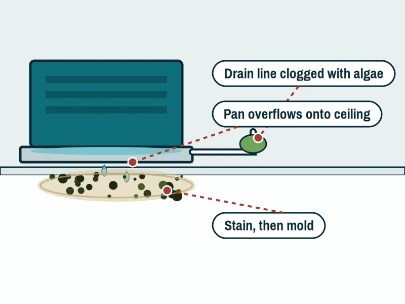 Diagram of an air handler drain pan overflowing onto ceiling drywall with a clogged condensate drain line and a mold stain below