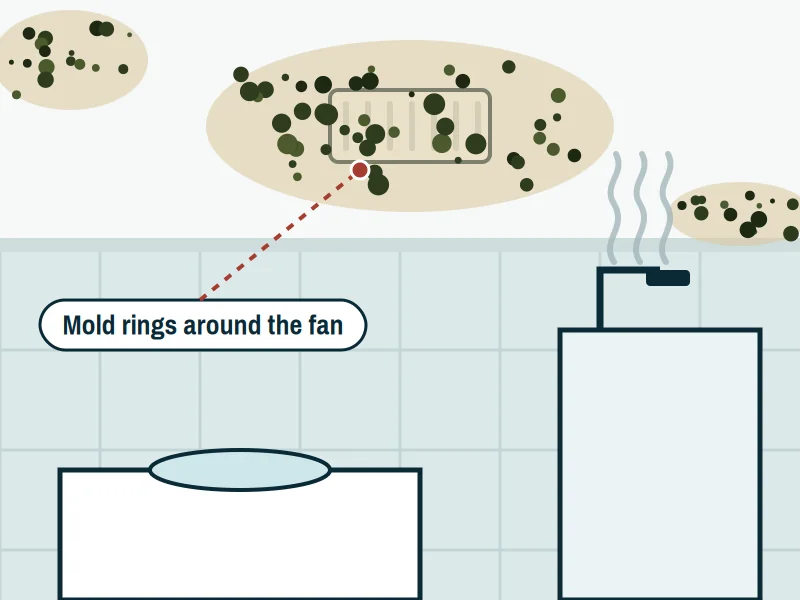 Bathroom ceiling with dark mold growth spreading around the exhaust fan grille and steam rising from the shower