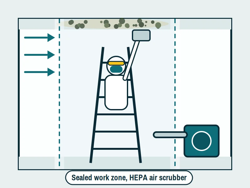 Technician removing ceiling mold inside a sealed, HEPA-filtered work zone