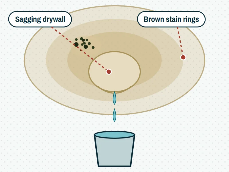 Ceiling with brown water stain rings, a sagging drywall bulge and a bucket catching drips